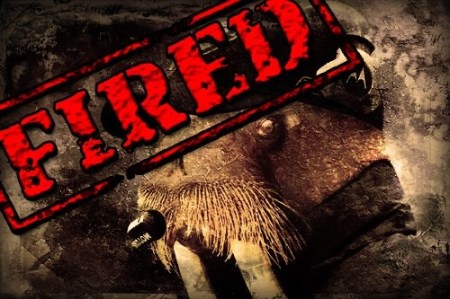 Fired The Walrus